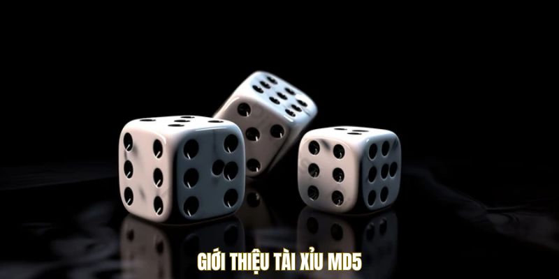 Giới thiệu tài xỉu MD5