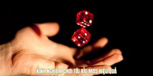 Kinh nghiệm chơi tài xỉu MD5 hiệu quả