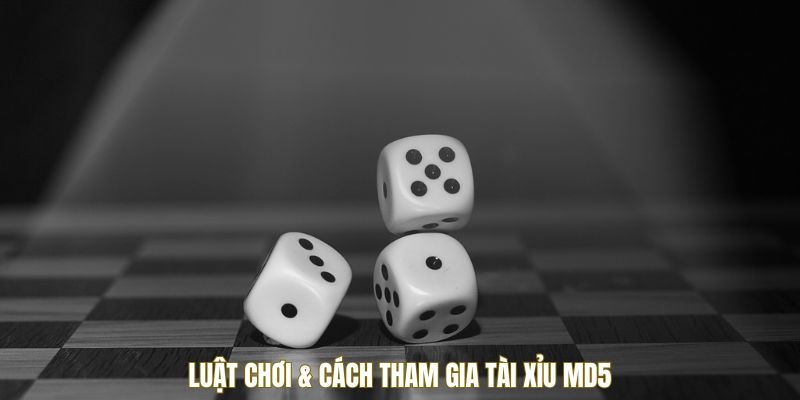 Luật chơi & Cách tham gia tài xỉu MD5