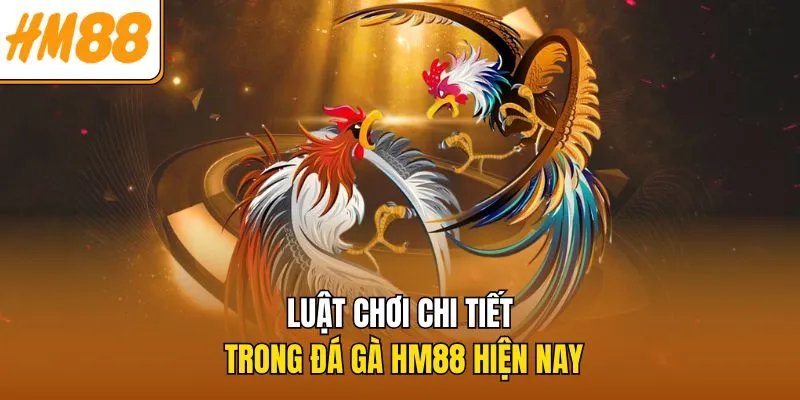 Luật chơi đá gà chuẩn