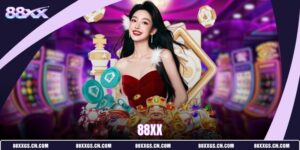 88xx-(4)